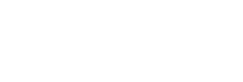 Sebina